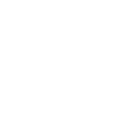 YZ Logo for Isotopic Partnership